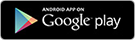 Google Play Store Icon